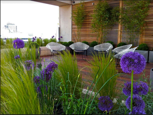 commercial spaces with inspiring landscape design