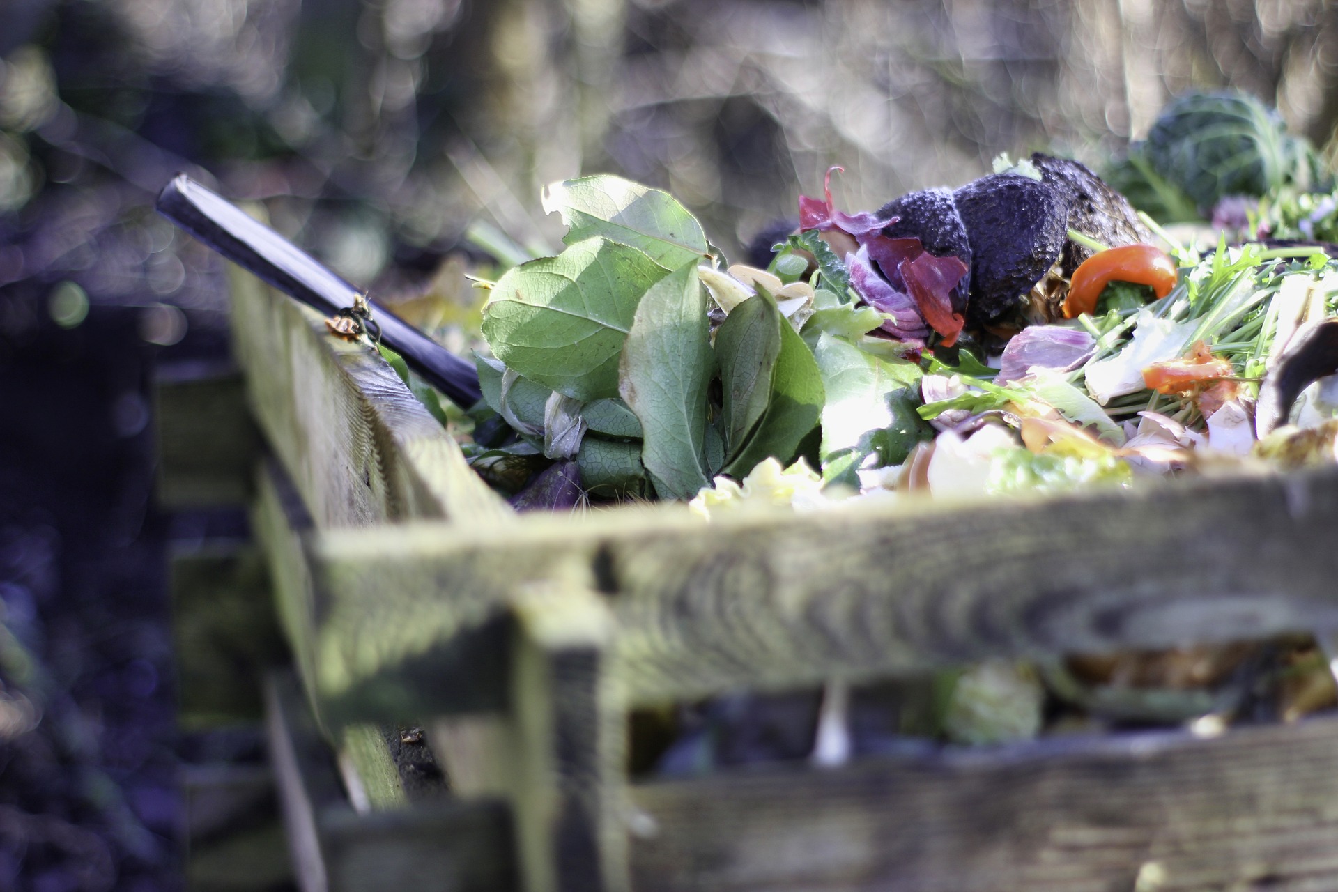 A compost heap filled with fruit and vegetable scraps.
