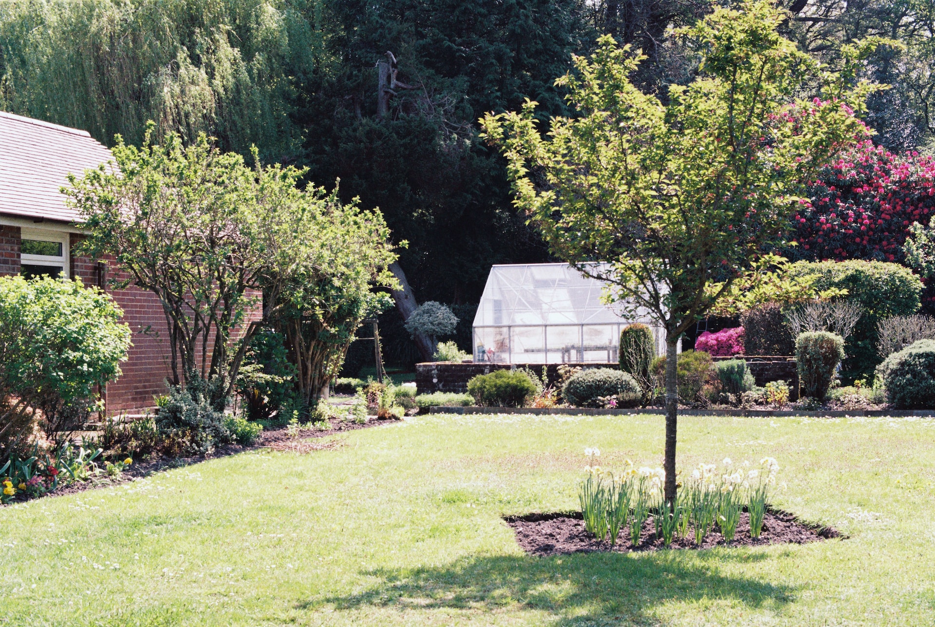 A landscaped garden with a lawn, flowers, shrubs and a greenhouse in the background.