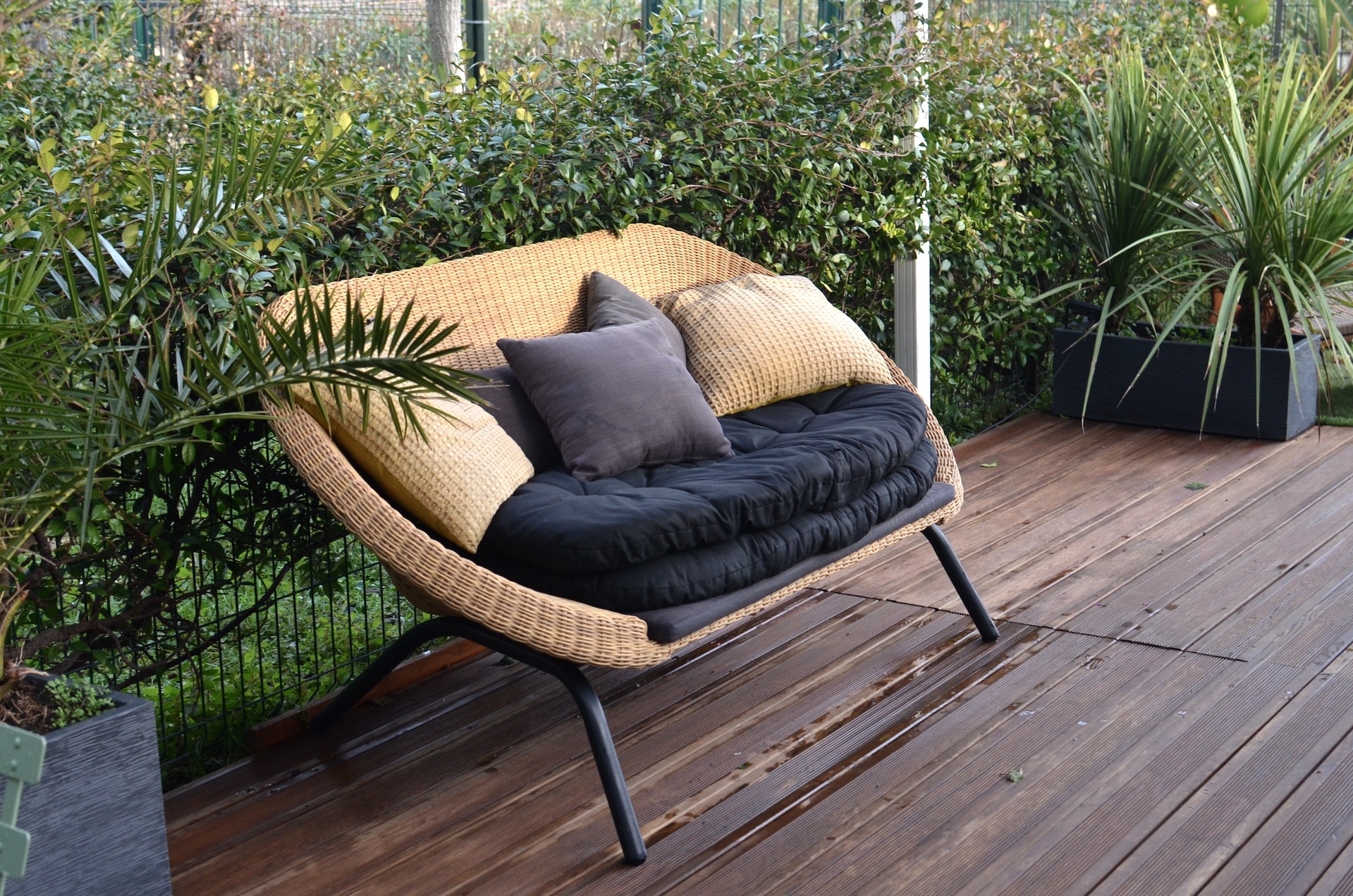 A garden deck in a London garden that requires looking after.