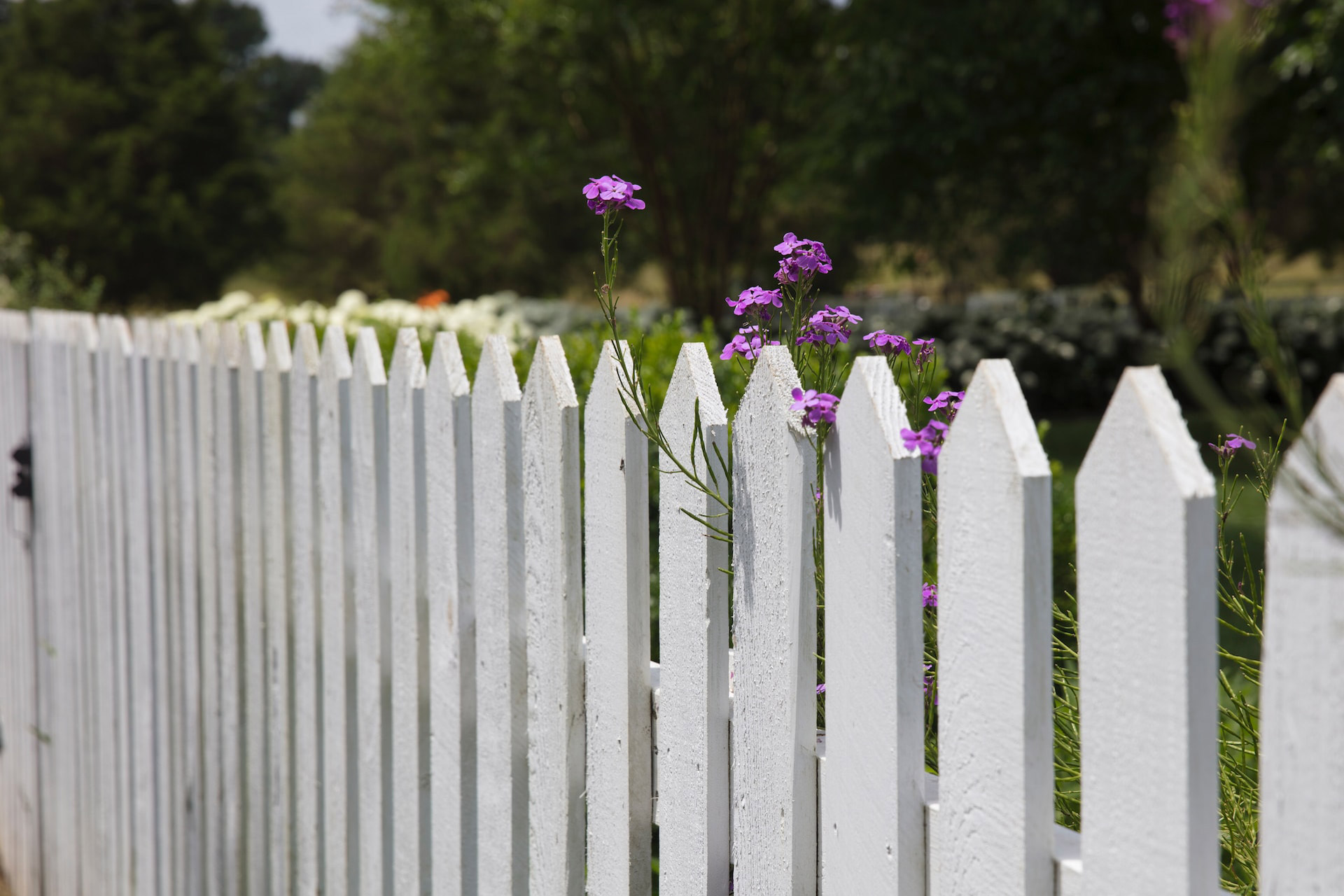 garden-fence-regulations-uk