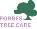 Forbes Treecare Tree Surgeons