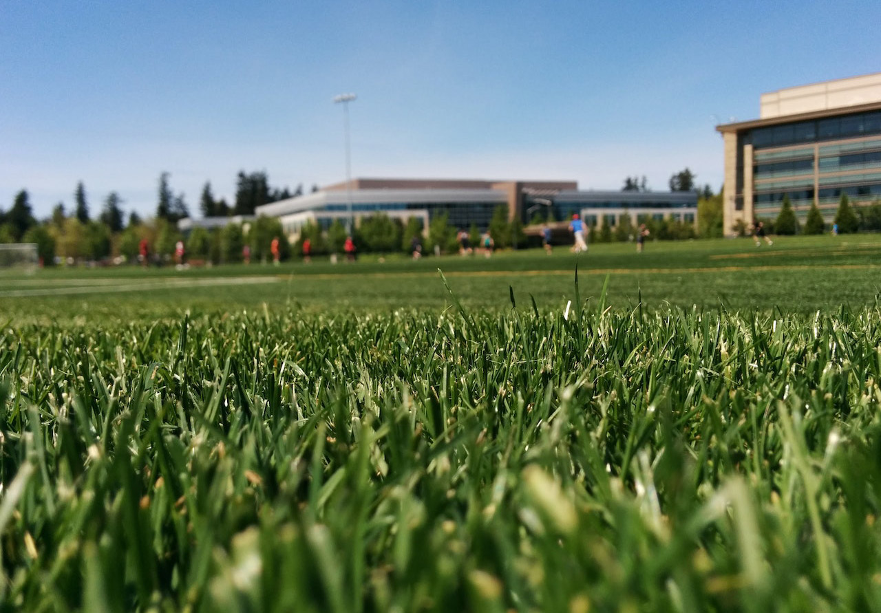 Quality turf laid on a sports field - the right variety of turf for heavy use.