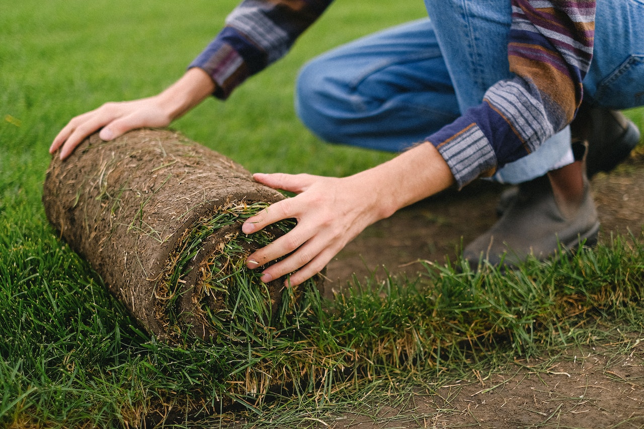 A turf laying specialist lays the right turf variety for a specific garden.