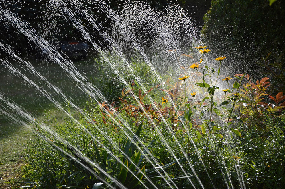 eco-friendly-garden-irrigation
