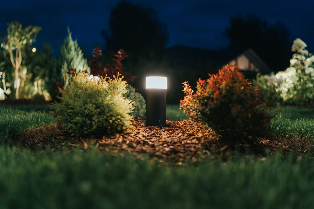 Eco friendly garden light at ground level.