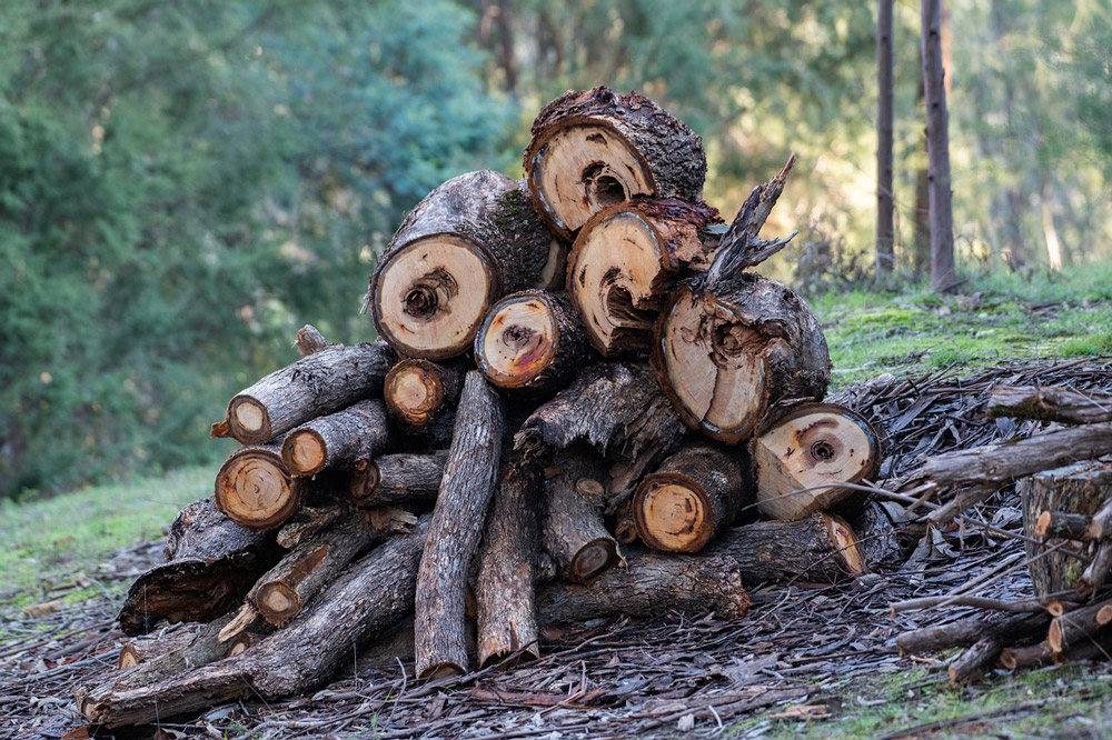 Log piles are good for attracting wildlife