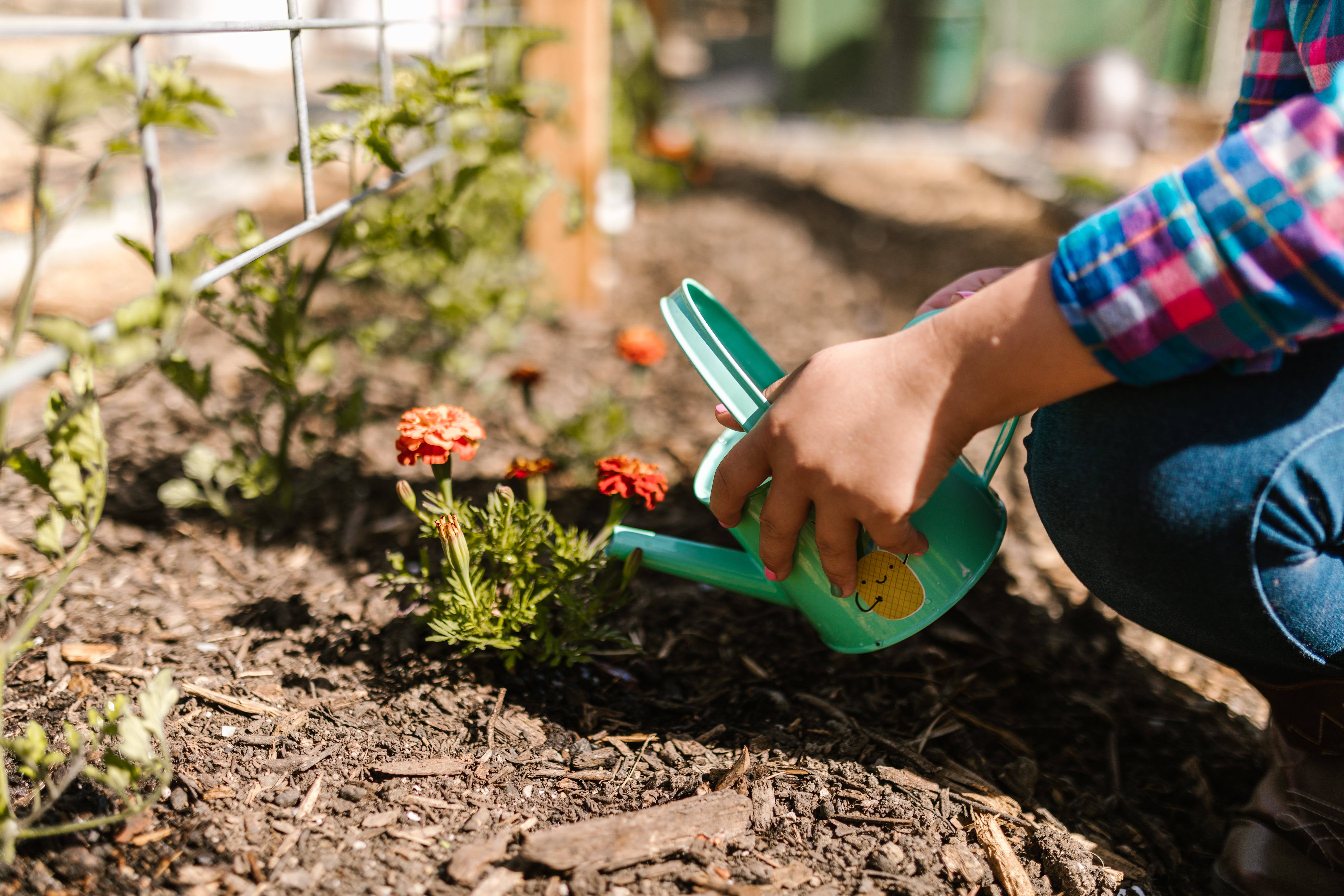 A person holding a green watering can learning how to create a sustainable garden
