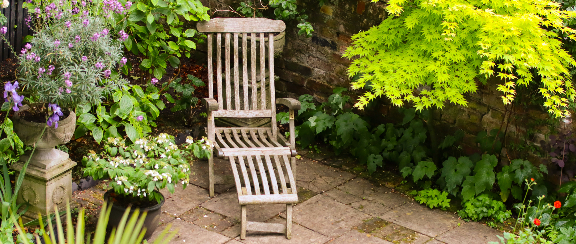 A wooden armchair beside plants in an east facing garden.