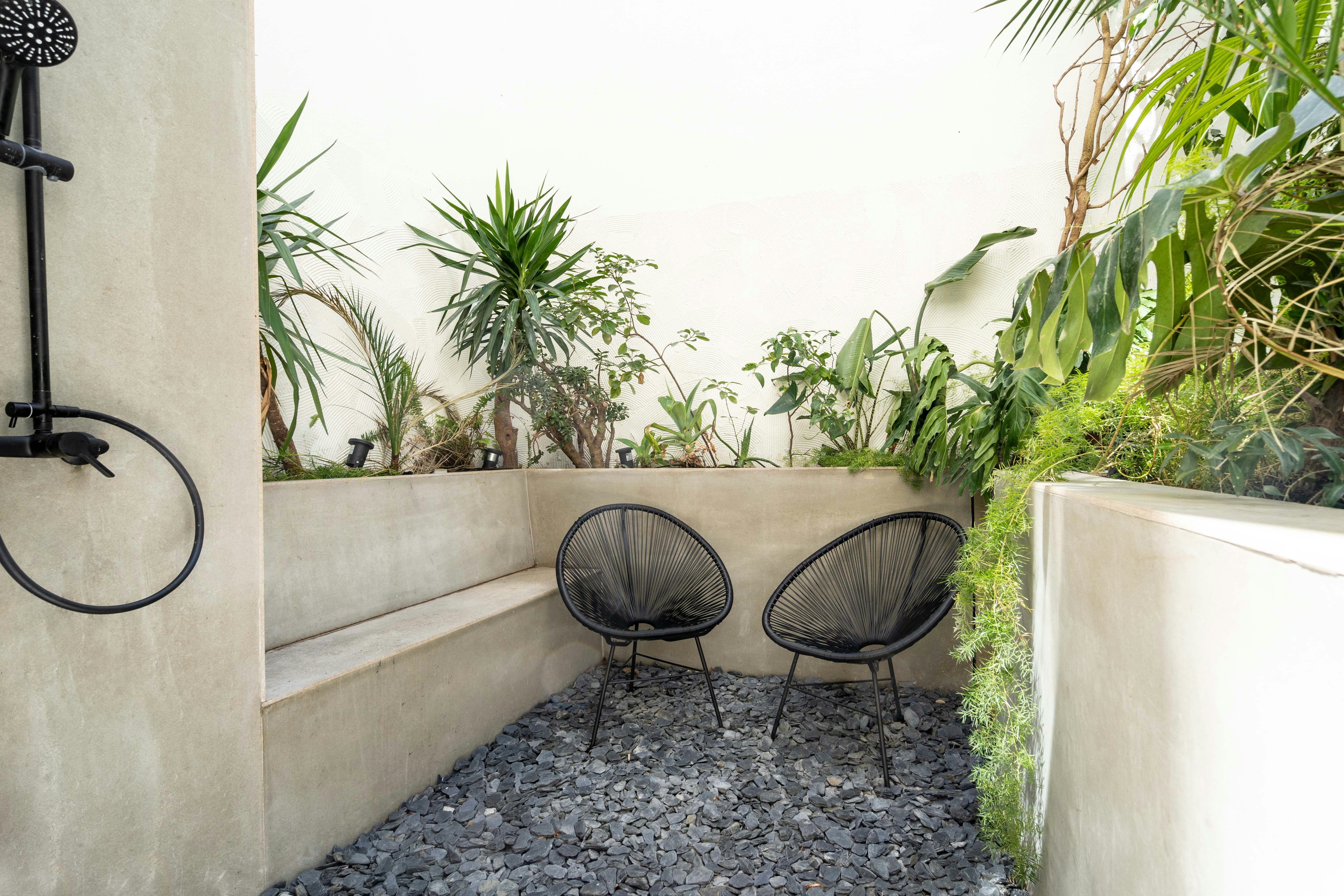 A courtyard garden with two chairs and plants surrounding it