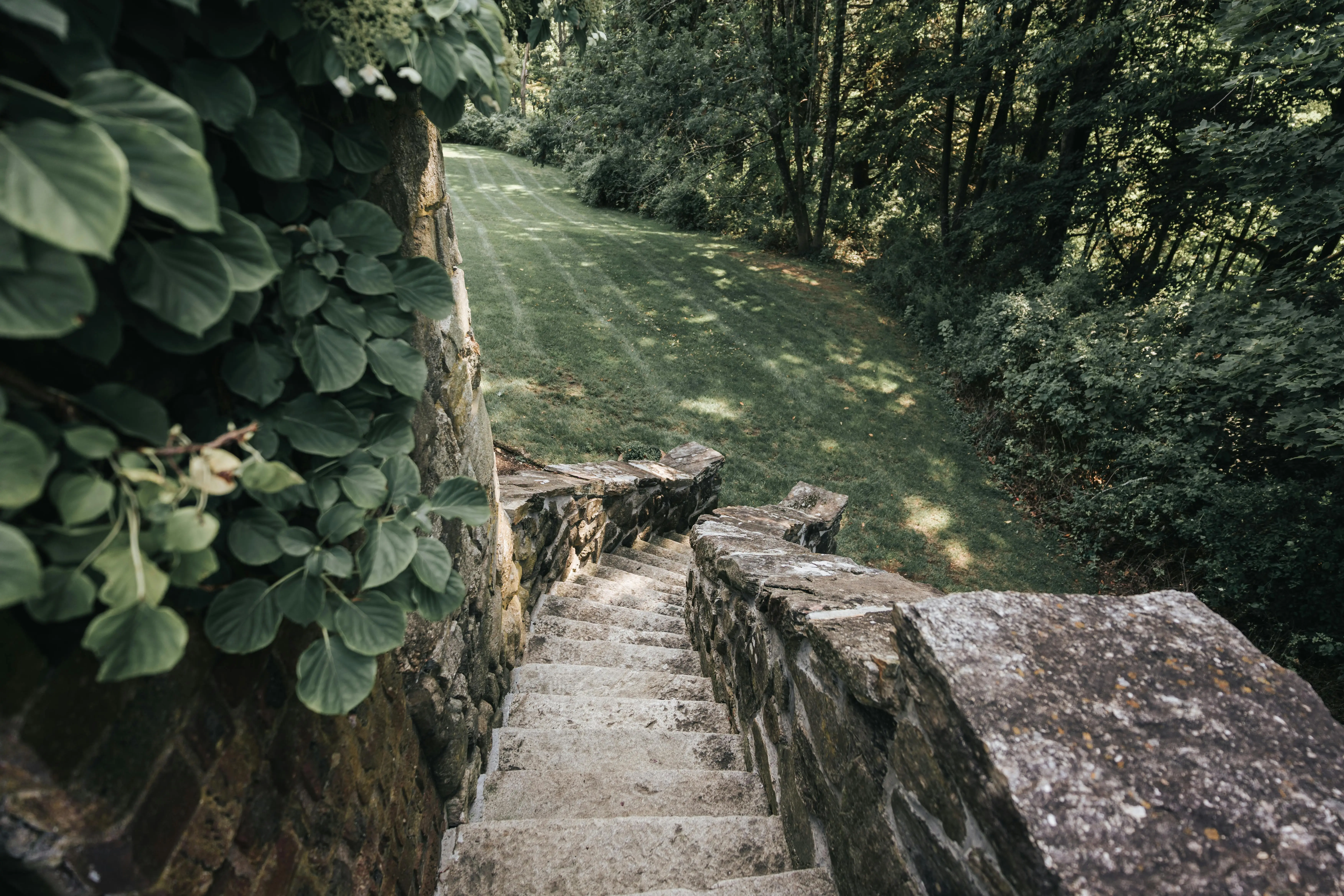 A garden with some stone steps