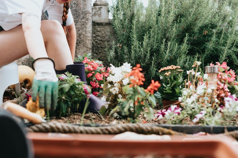 diy-raised-bed-courtyard-garden A woman planting in a raised bed in a courtyard garden