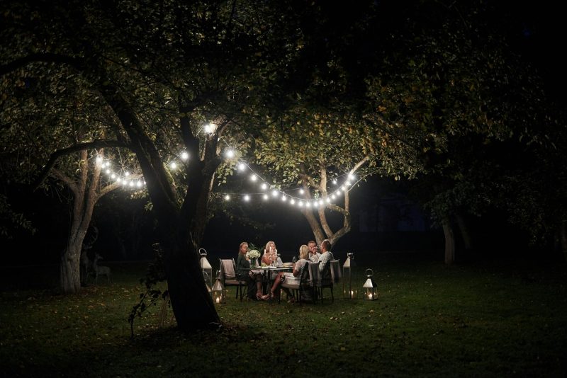 modern-garden-light-features modern garden with lights hung on the trees above the table that people are sitting at