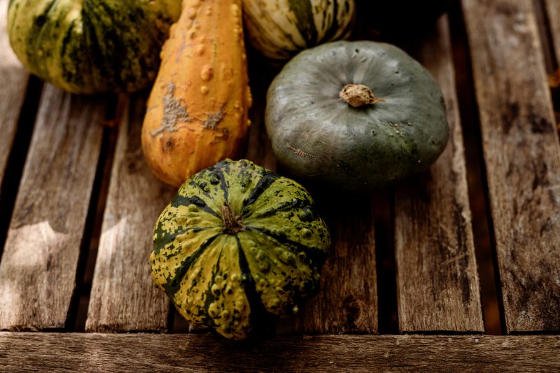 pumpkins-gourds-in-courtyard-garden pumpkins and gourds on a wooden table in a courtyard garden