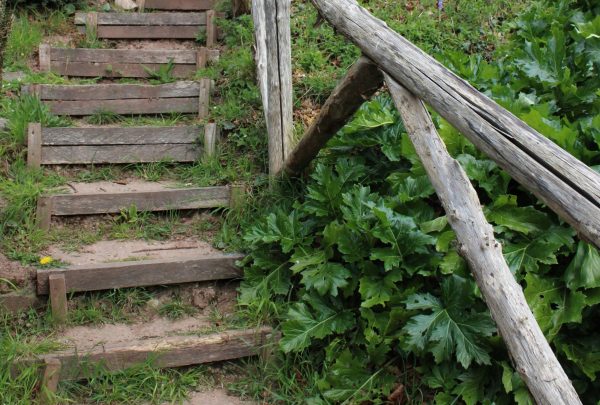 A garden staircase set into a sloped garden. The steps are made from railway sleepers.