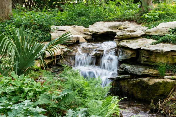 sloped garden with a small, cascading waterfall flowing over layered, flat rocks surrounded by lush greenery and ferns.